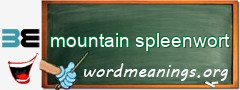 WordMeaning blackboard for mountain spleenwort